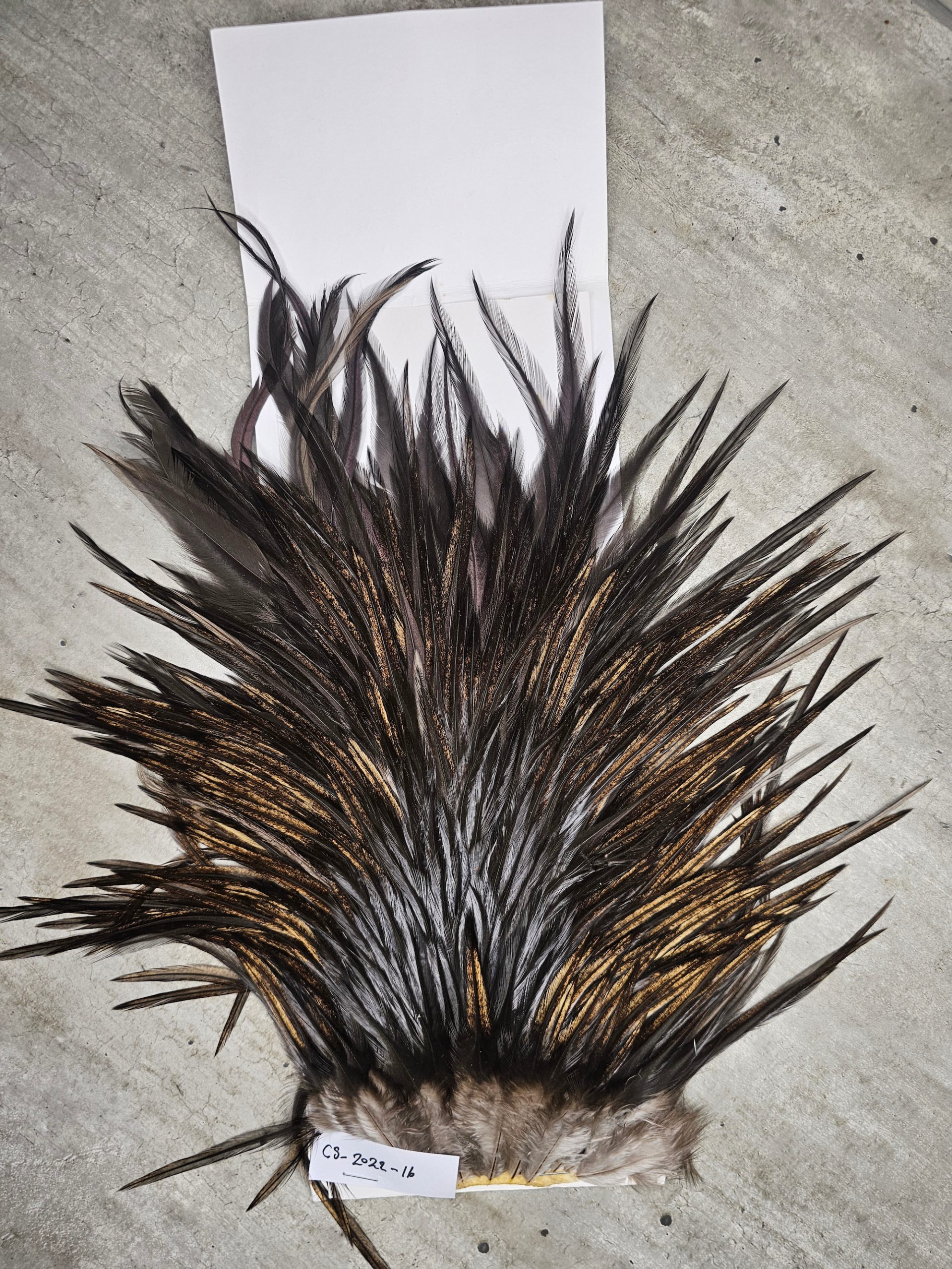 Bronte Hackle Cock Saddles  cs-2022-16