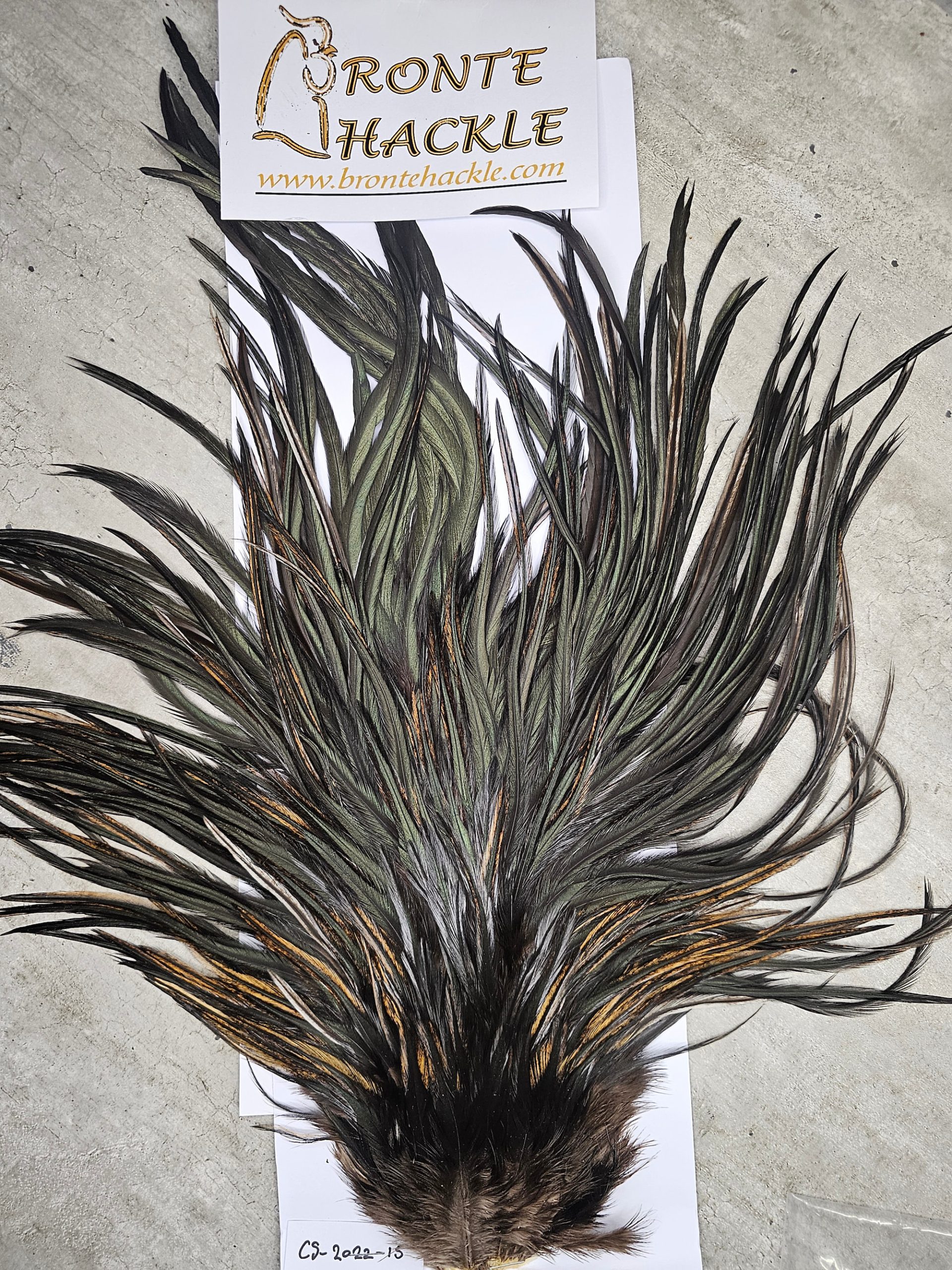 Bronte Hackle Cock Saddles  cs-2022-15