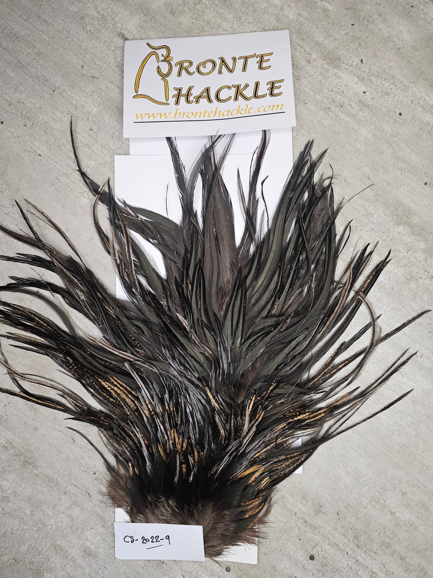 Bronte Hackle Cock Saddles  cs-2022-9