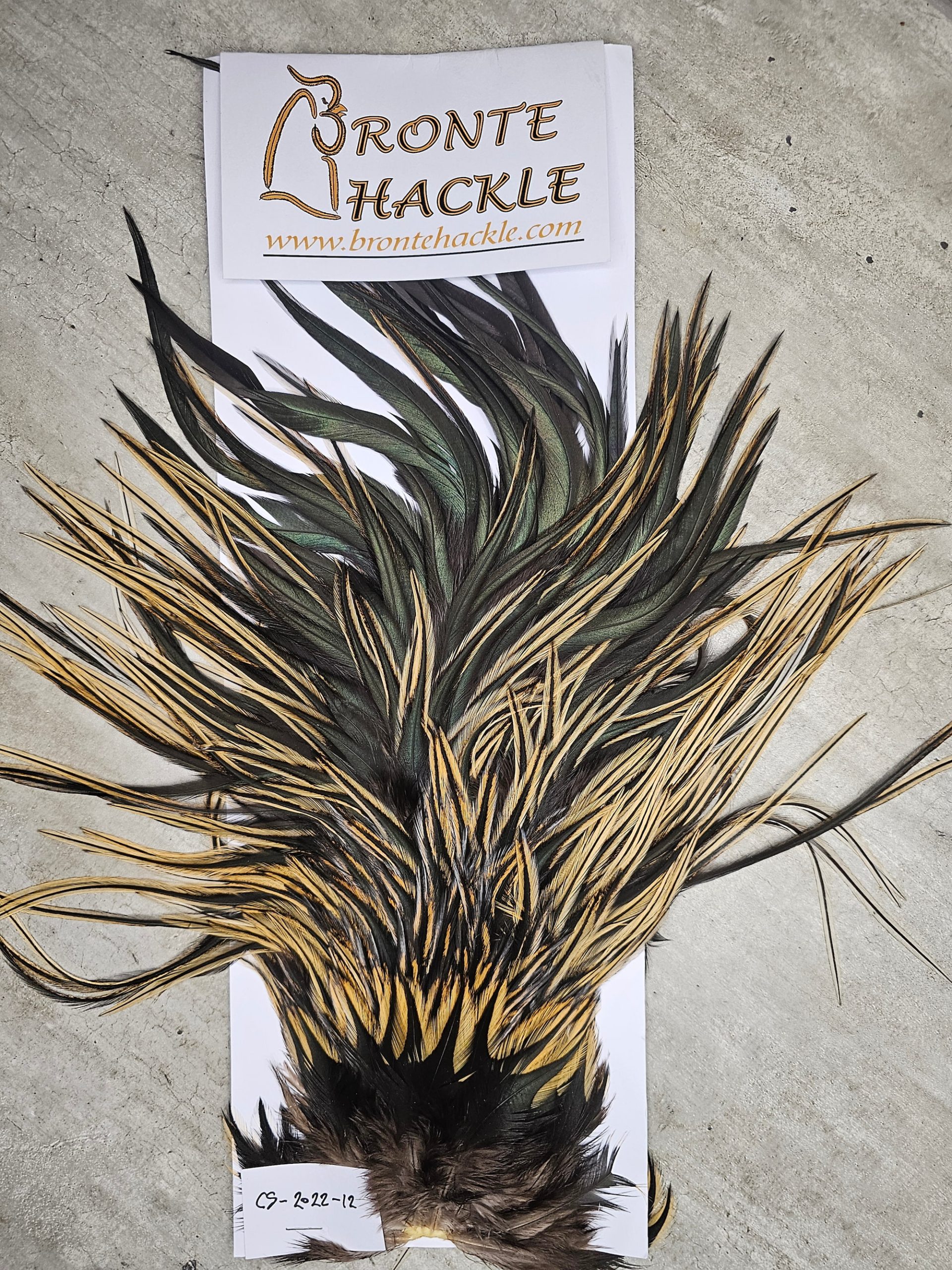 Bronte Hackle Cock Saddles  cs-2022-12