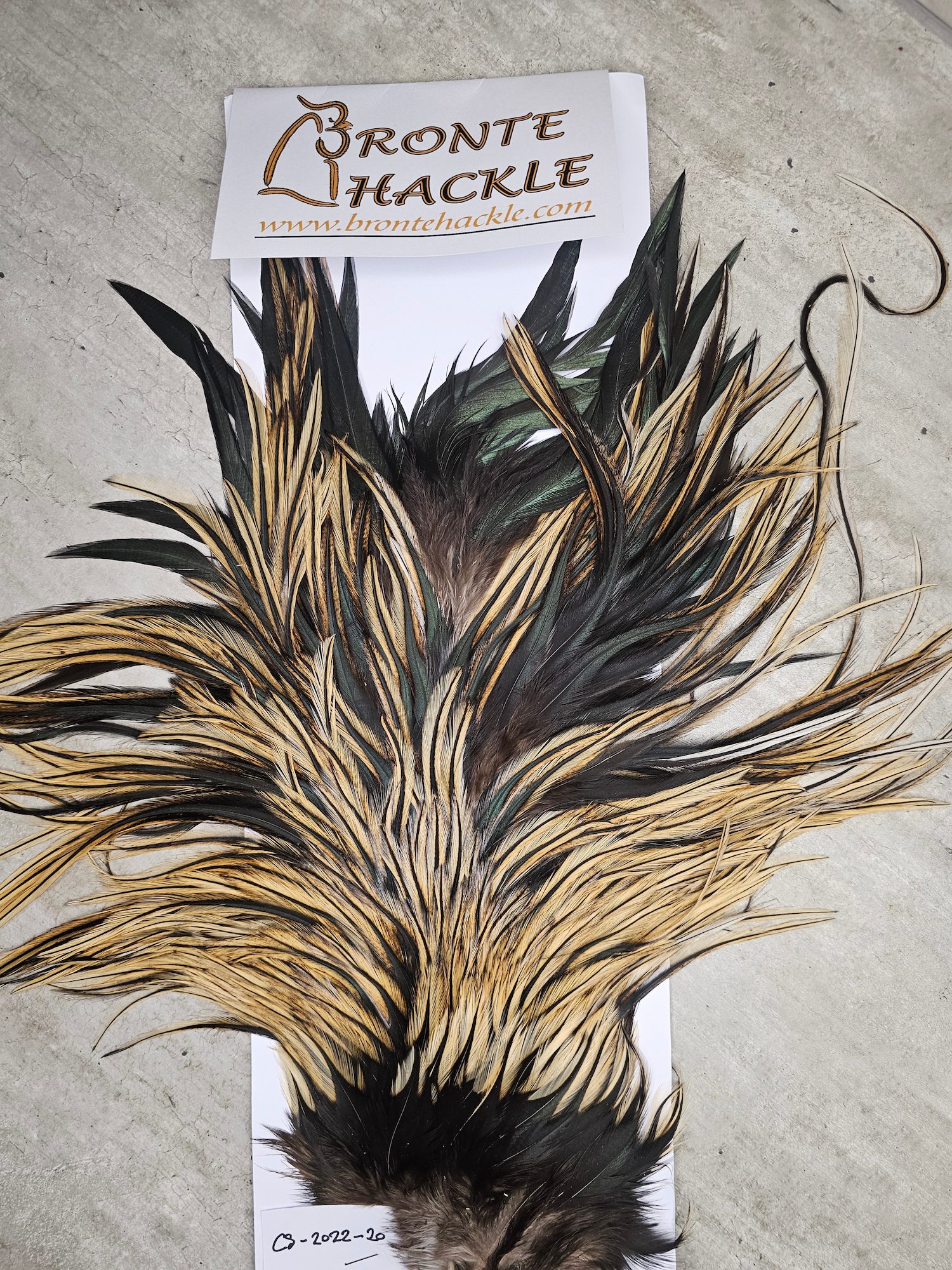 Bronte Hackle Cock Saddles  cs-2022-20