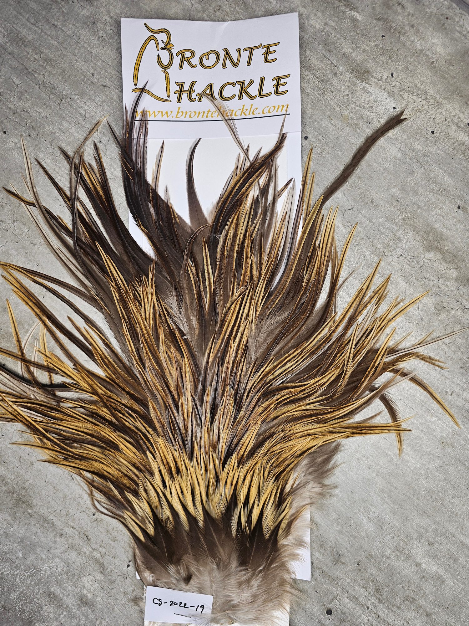 Bronte Hackle Cock Saddles  cs-2022-19