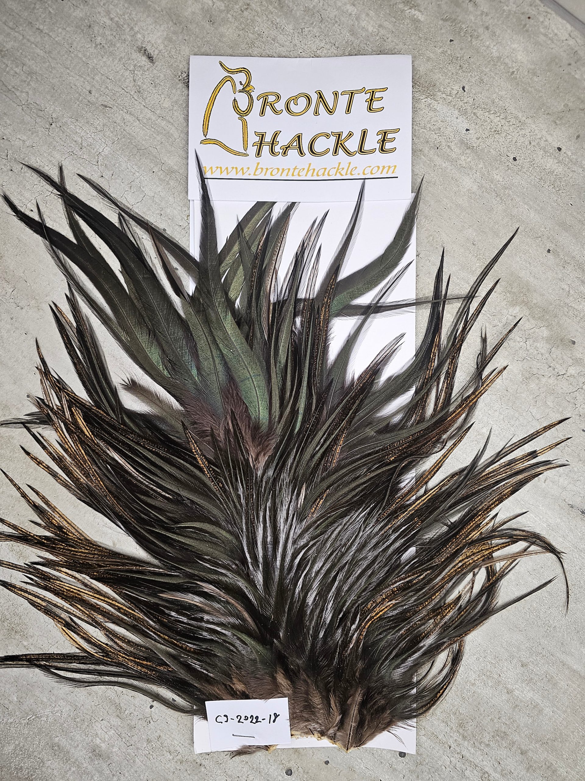 Bronte Hackle Cock Saddles  cs-2022-18