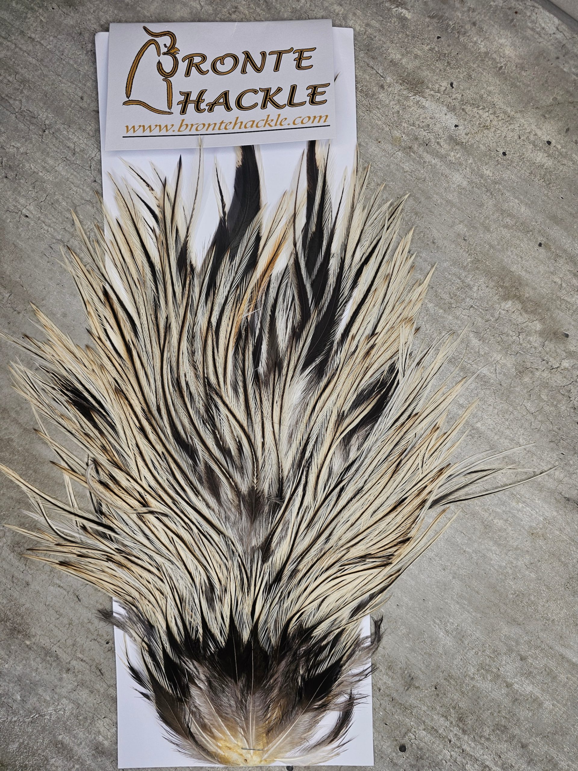 Bronte Hackle Cock Saddles  cs-2026-22