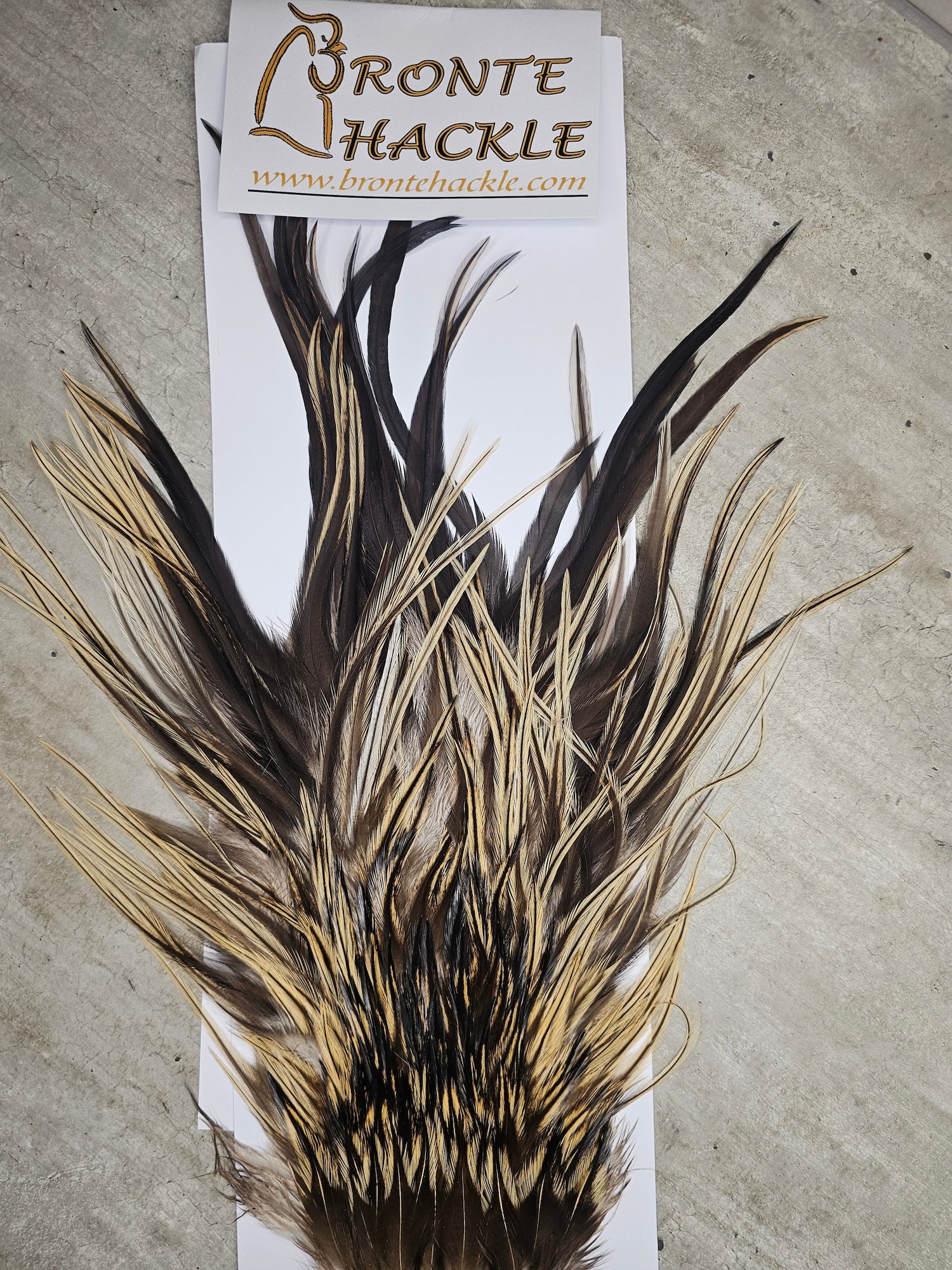 Bronte Hackle Cock Saddles  cs-2026-23