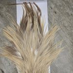 Bronte Hackle Cock Saddles  cs-2026-24