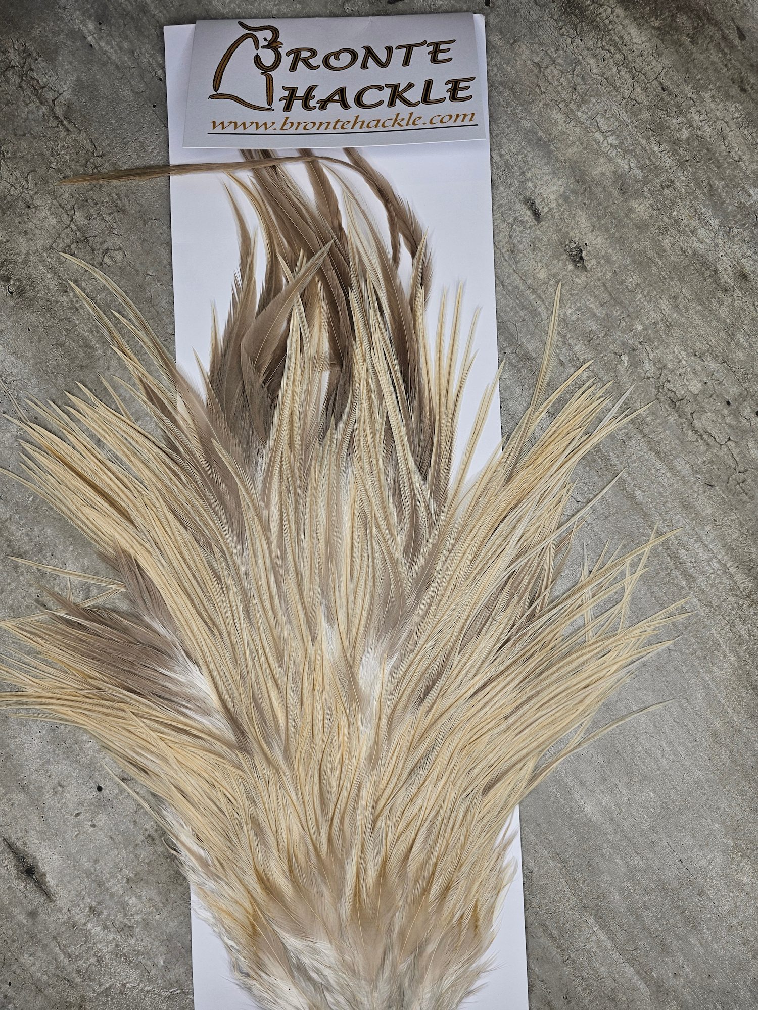 Bronte Hackle Cock Saddles  cs-2026-24