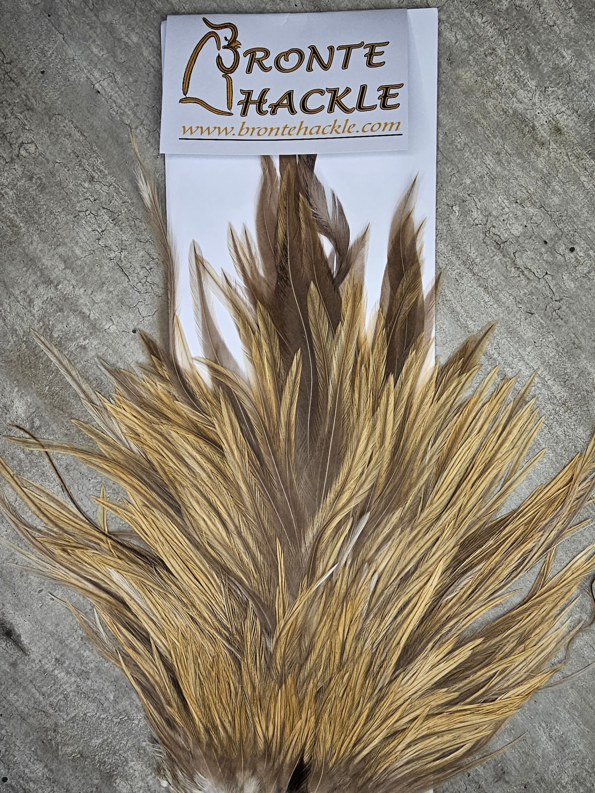 Bronte Hackle Cock Saddles  cs-2026-25