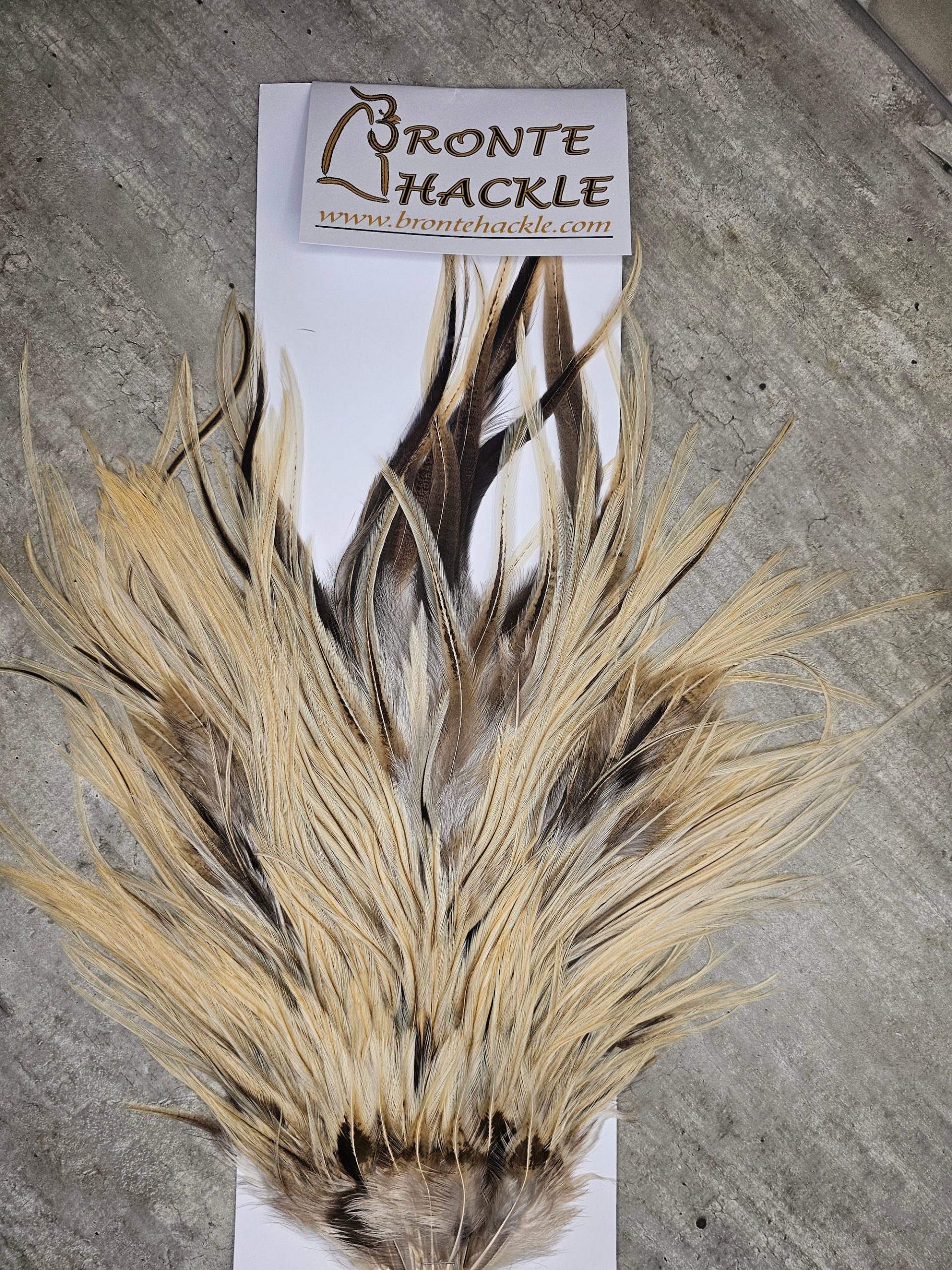 Bronte Hackle Cock Saddles  cs-2026-26