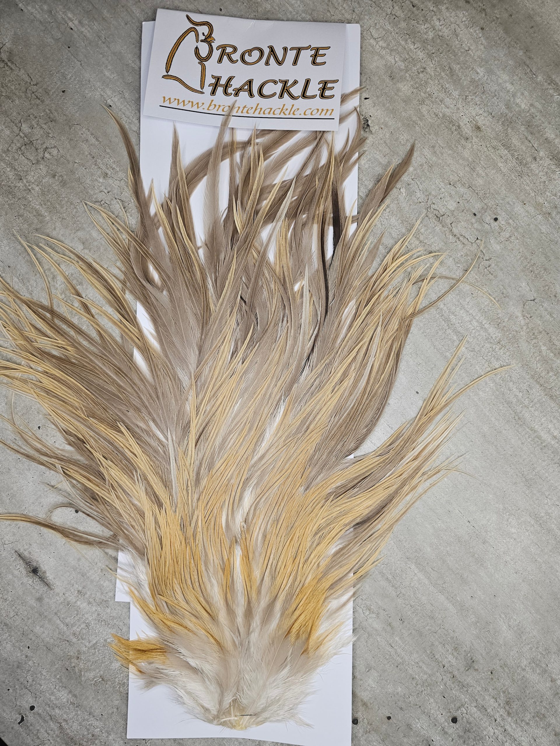 Bronte Hackle Cock Saddles  cs-2026-27