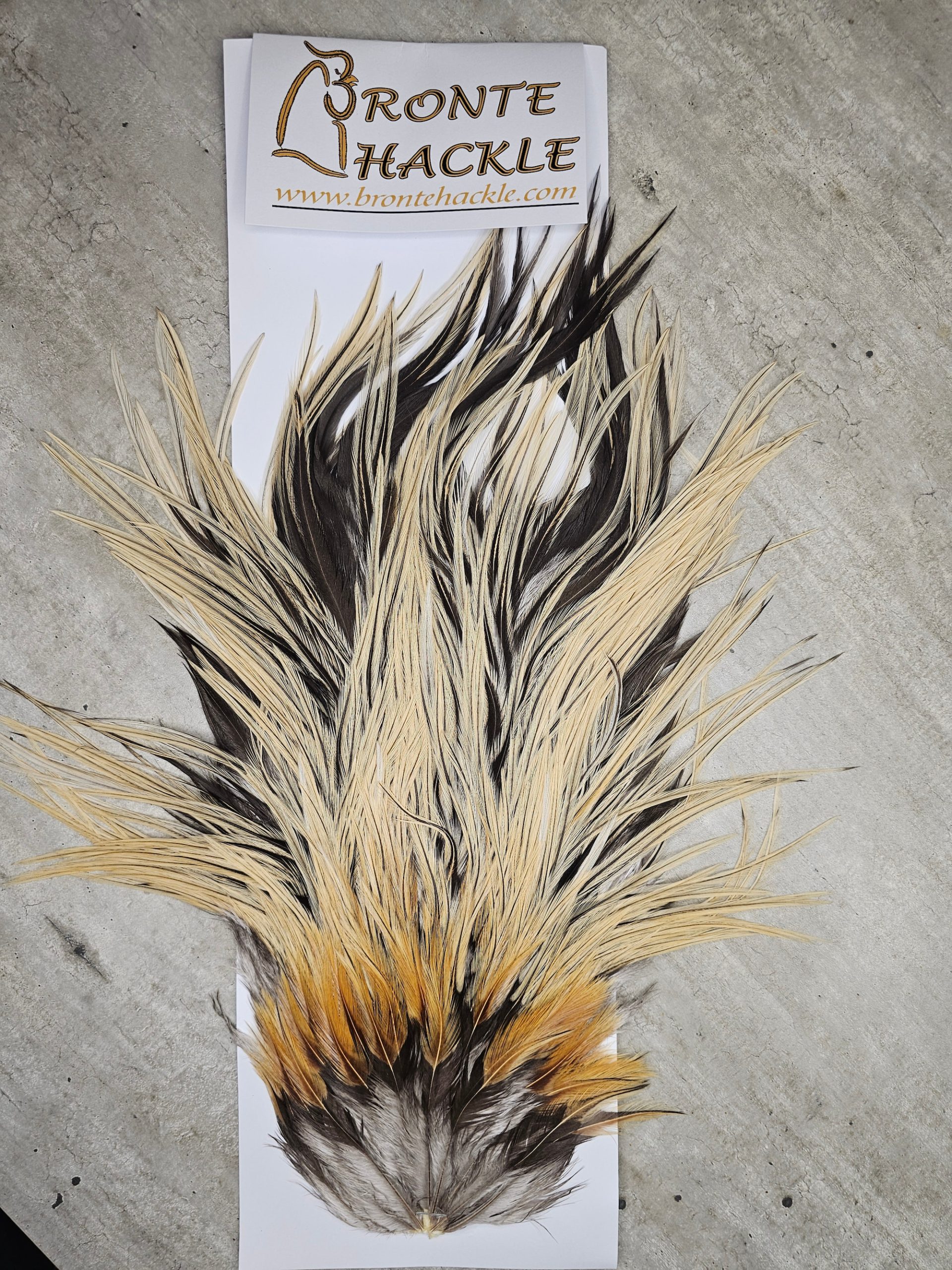 Bronte Hackle Cock Saddles  cs-2026-28