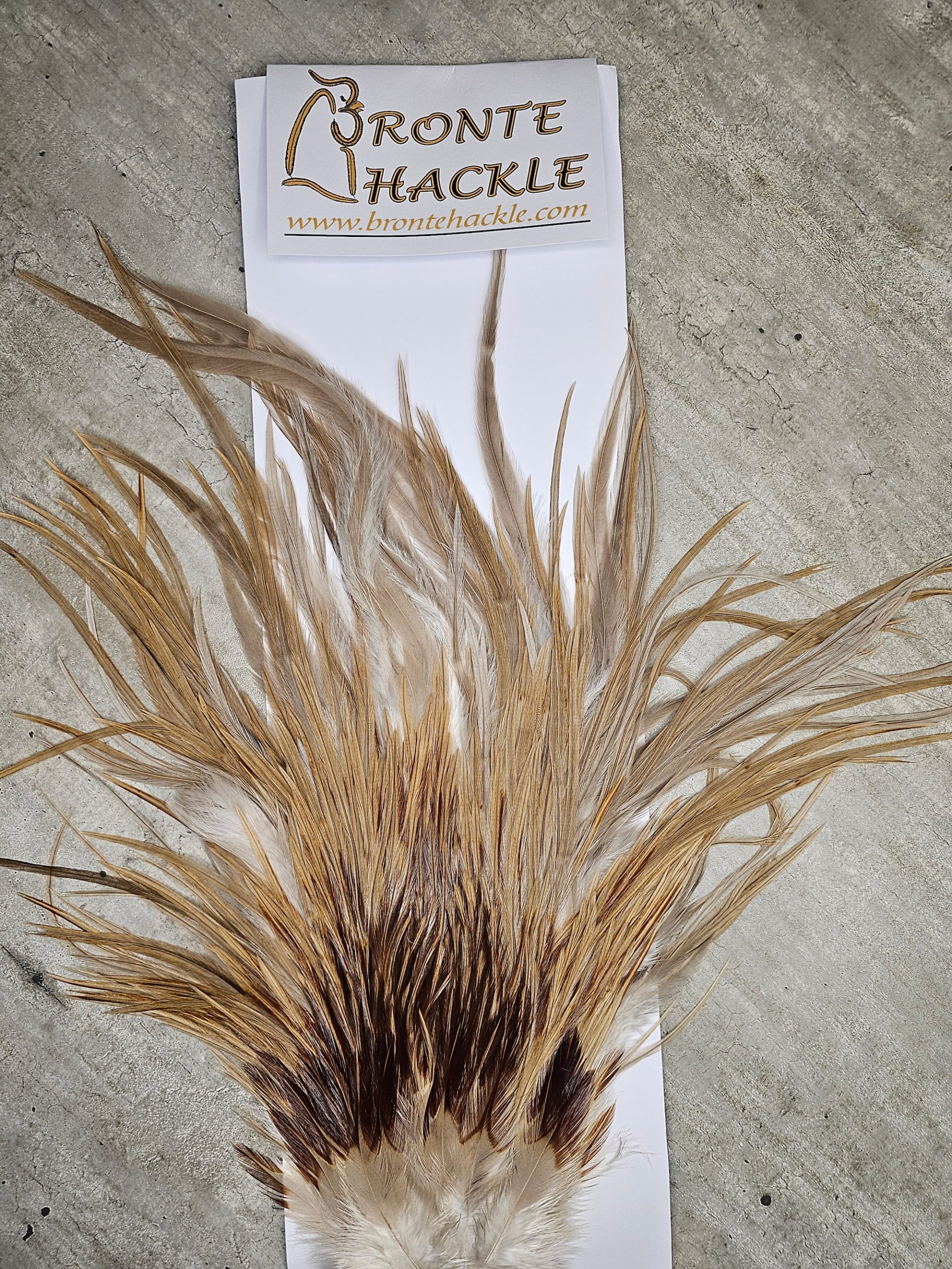 Bronte Hackle Cock Saddles  cs-2026-29