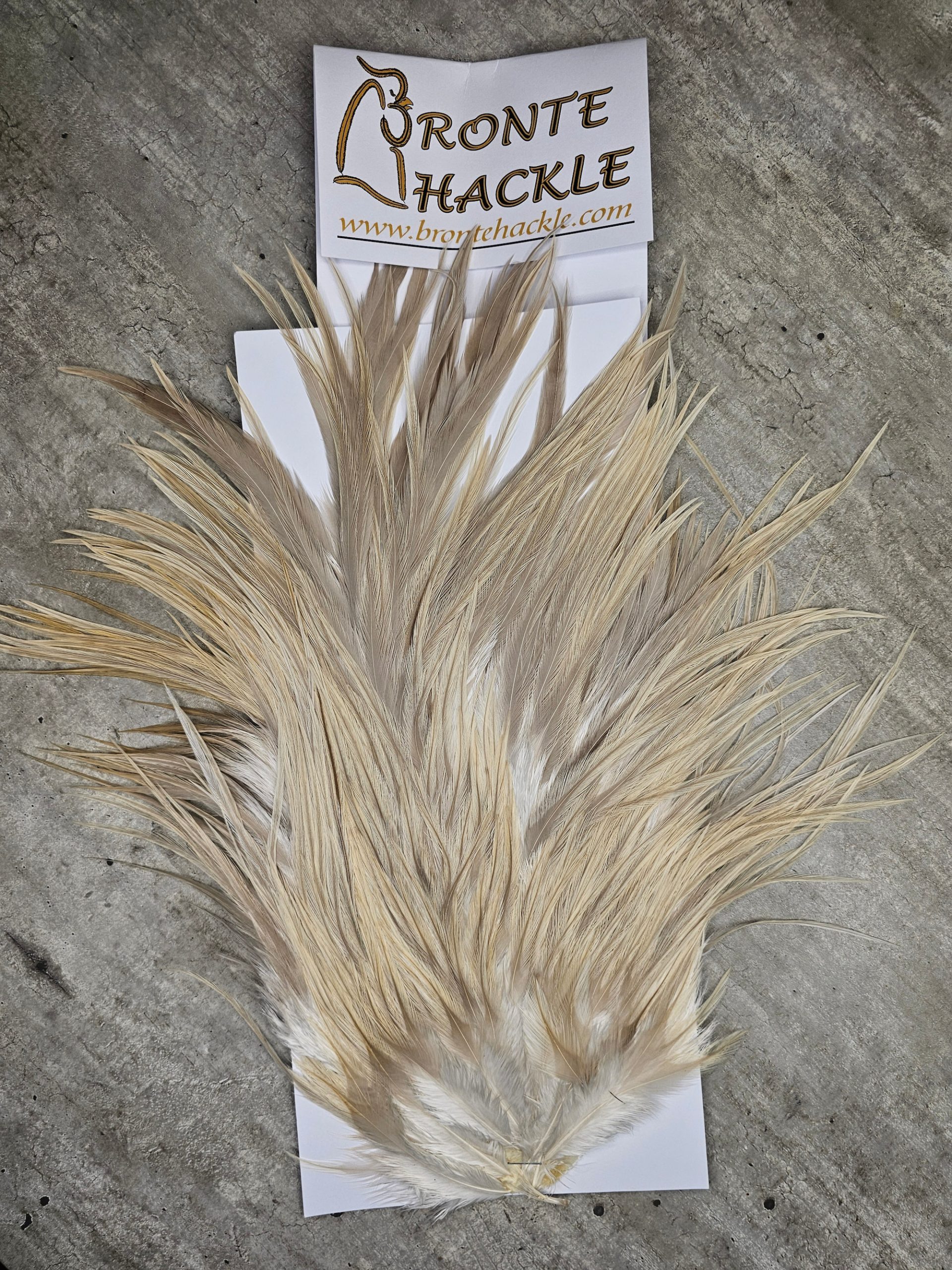 Bronte Hackle Cock Saddles  cs-2026-30