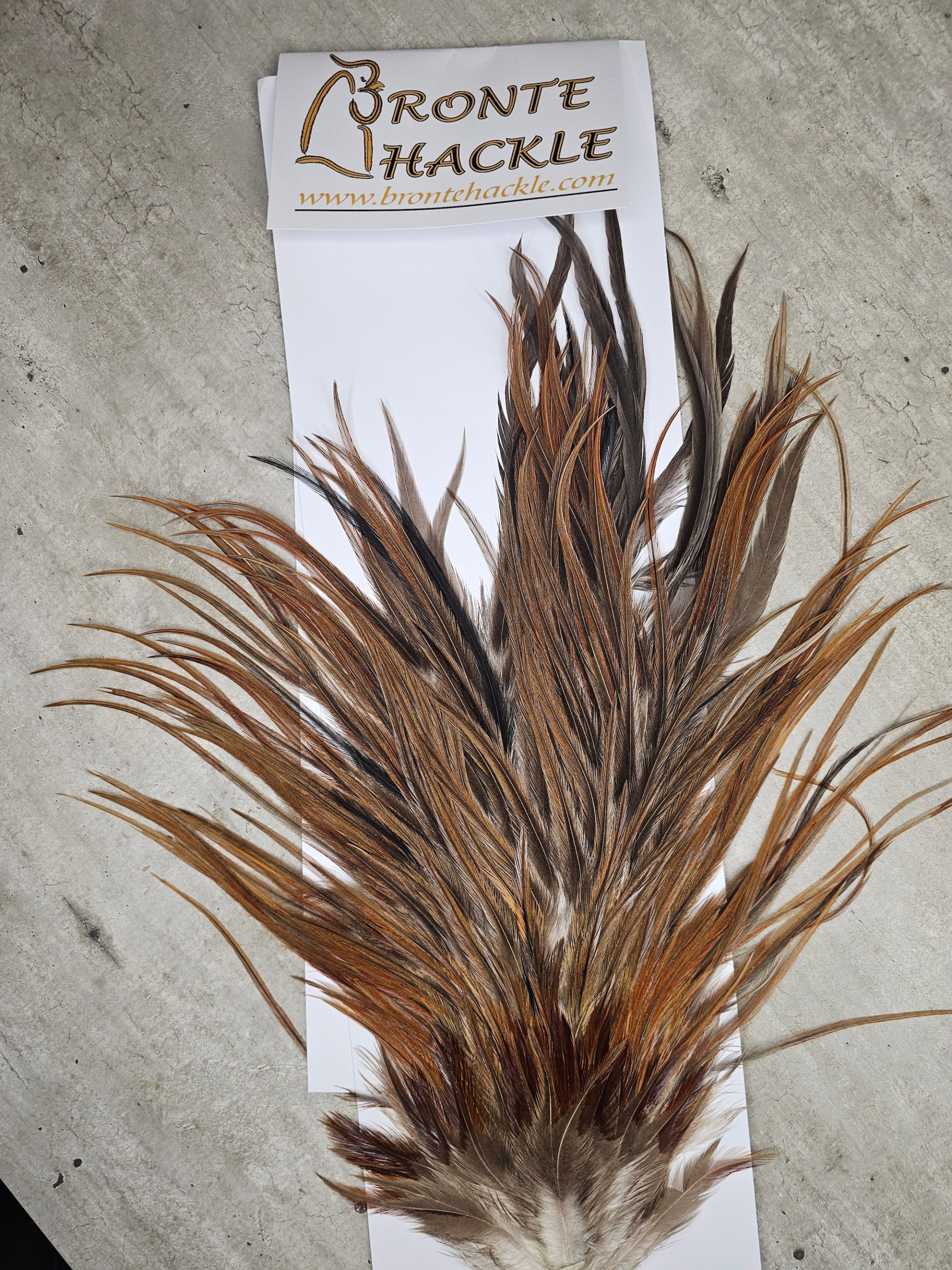 Bronte Hackle Cock Saddles  cs-2026-31