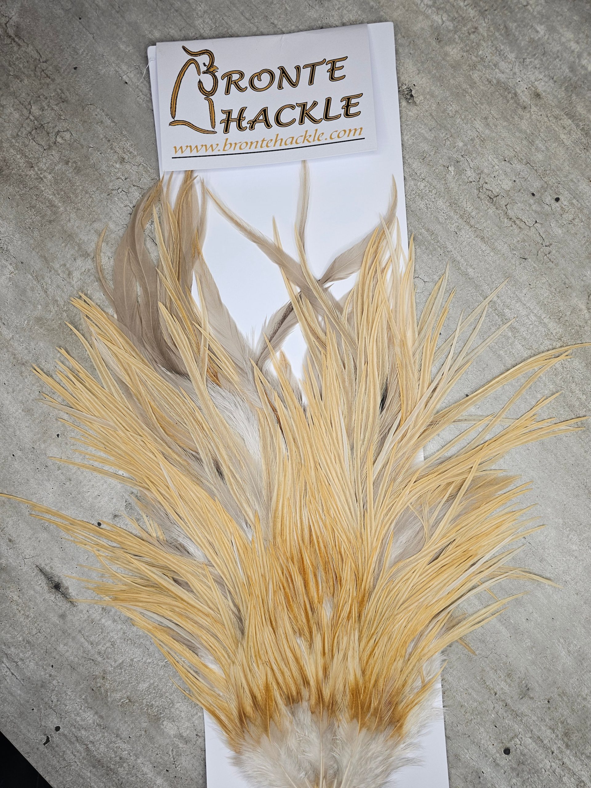 Bronte Hackle Cock Saddles  cs-2026-33