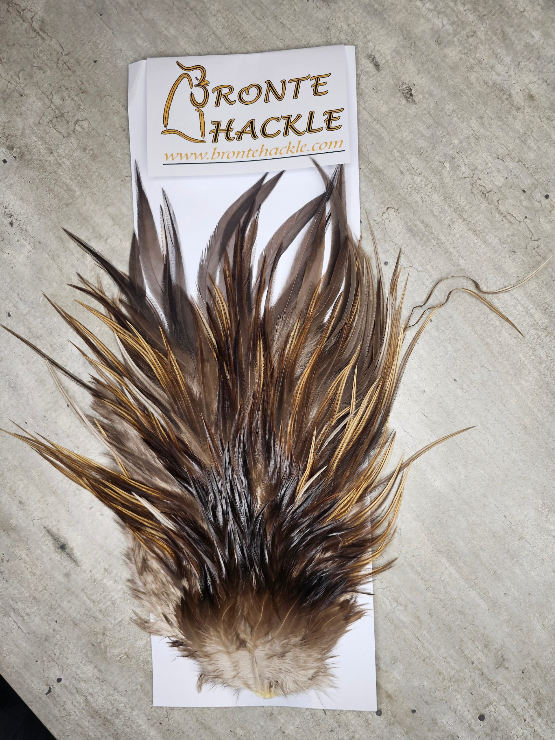 Bronte Hackle Cock Saddles  cs-2026-34