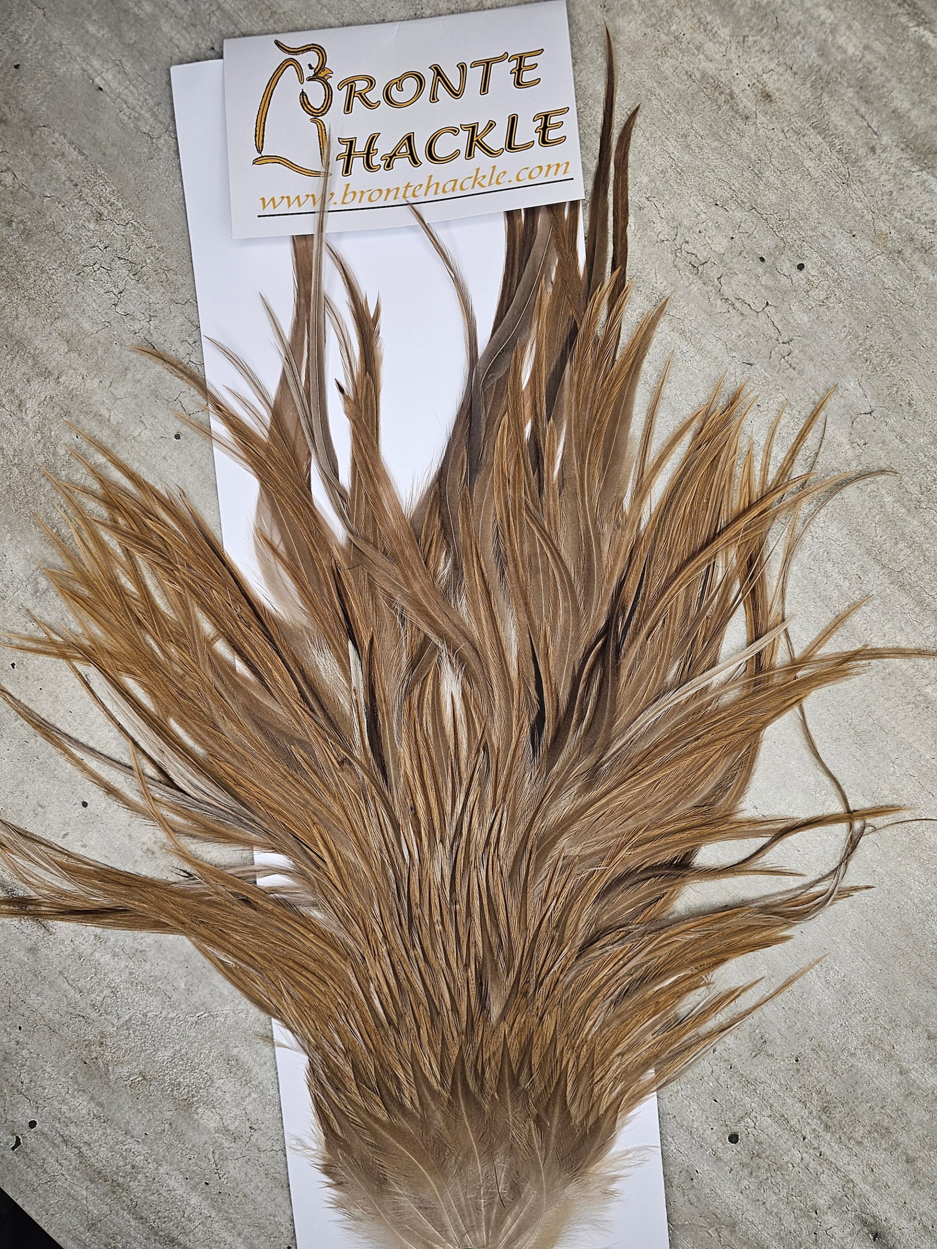 Bronte Hackle Cock Saddles  cs-2026-36