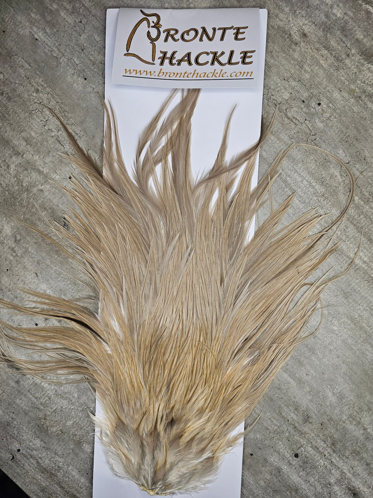 Bronte Hackle Cock Saddles  cs-2026-37