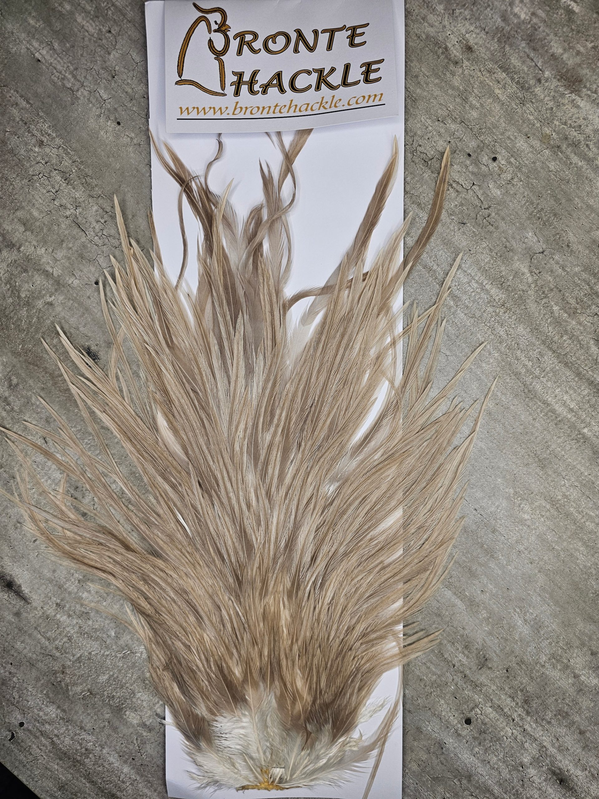 Bronte Hackle Cock Saddles  cs-2026-39