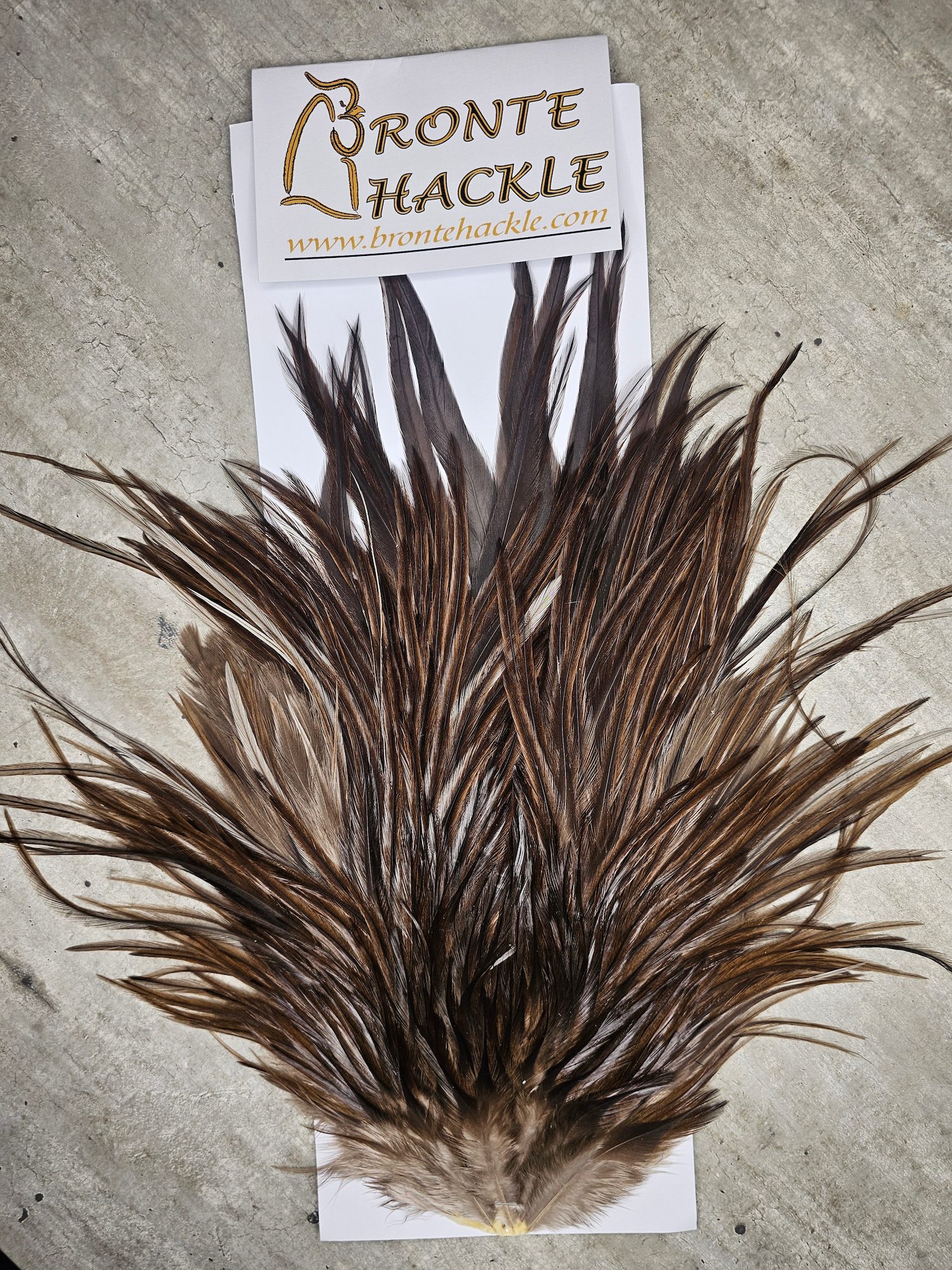 Bronte Hackle Cock Saddles  cs-2026-40