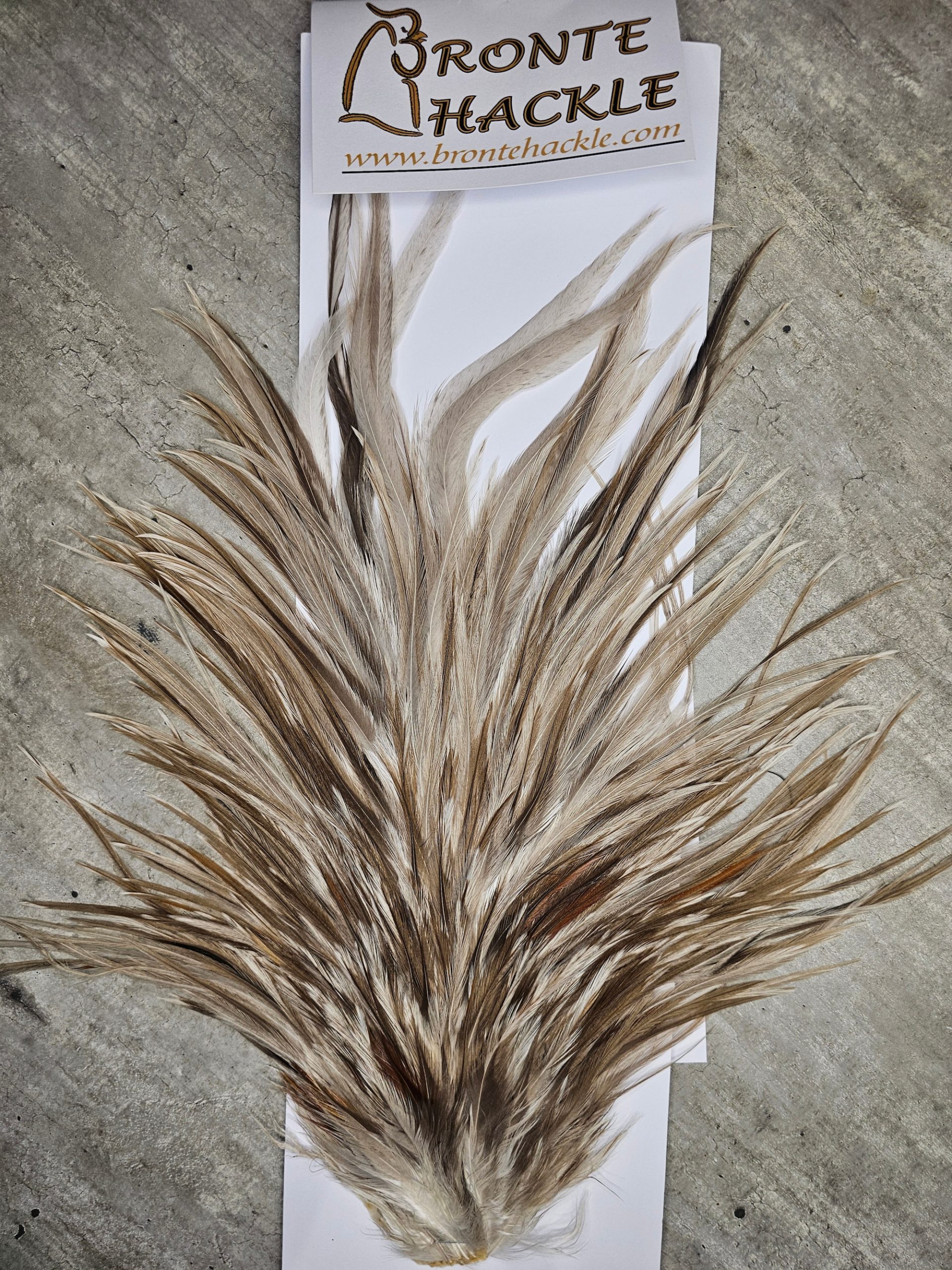 Bronte Hackle Cock Saddles  cs-2026-41