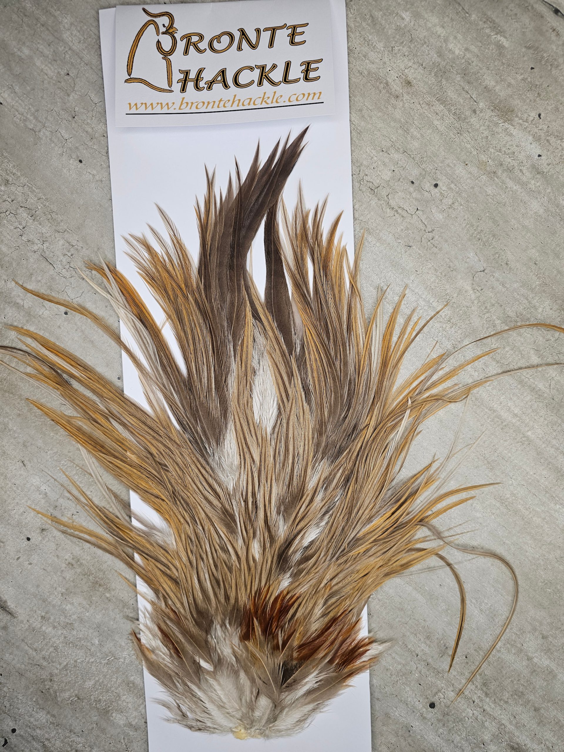 Bronte Hackle Cock Saddles  cs-2026-42