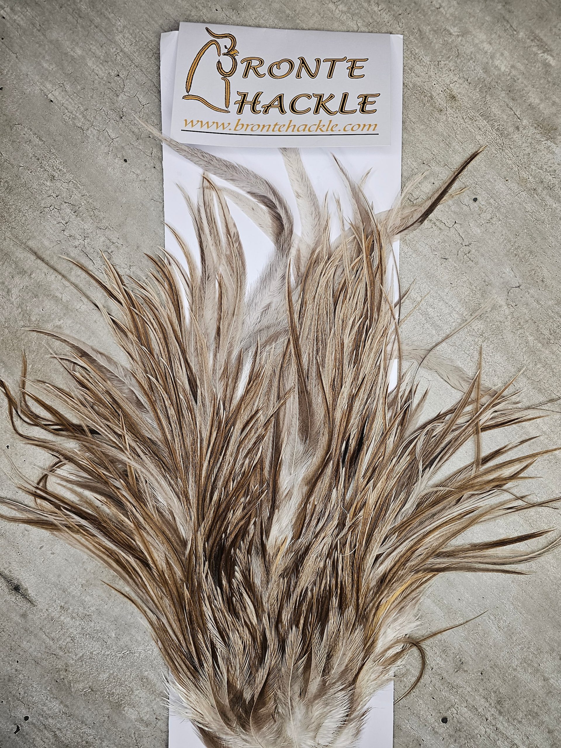 Bronte Hackle Cock Saddles  cs-2026-43