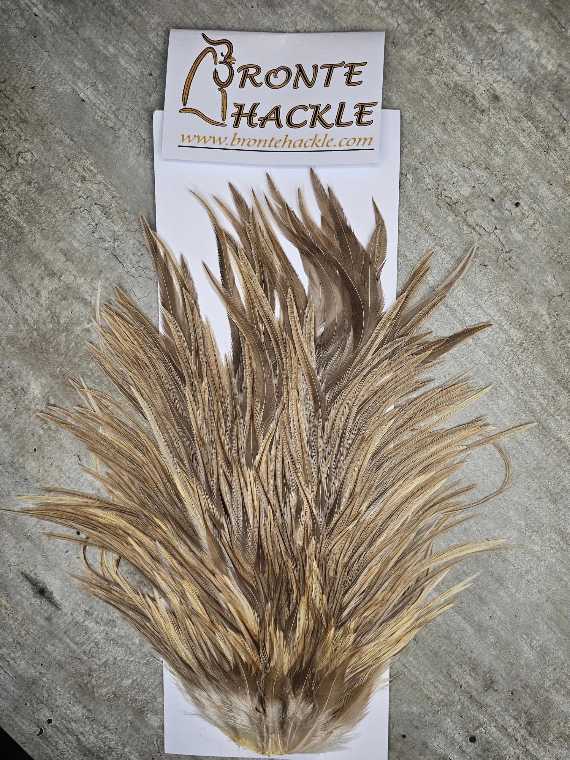 Bronte Hackle Cock Saddles  cs-2026-44