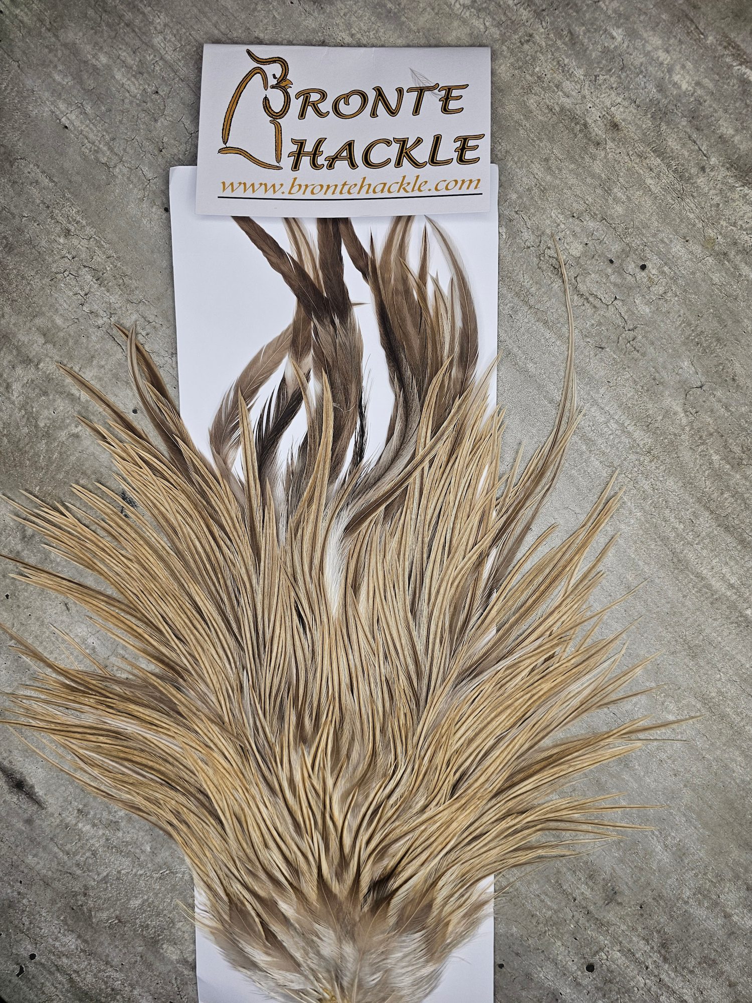 Bronte Hackle Cock Saddles  cs-2026-45