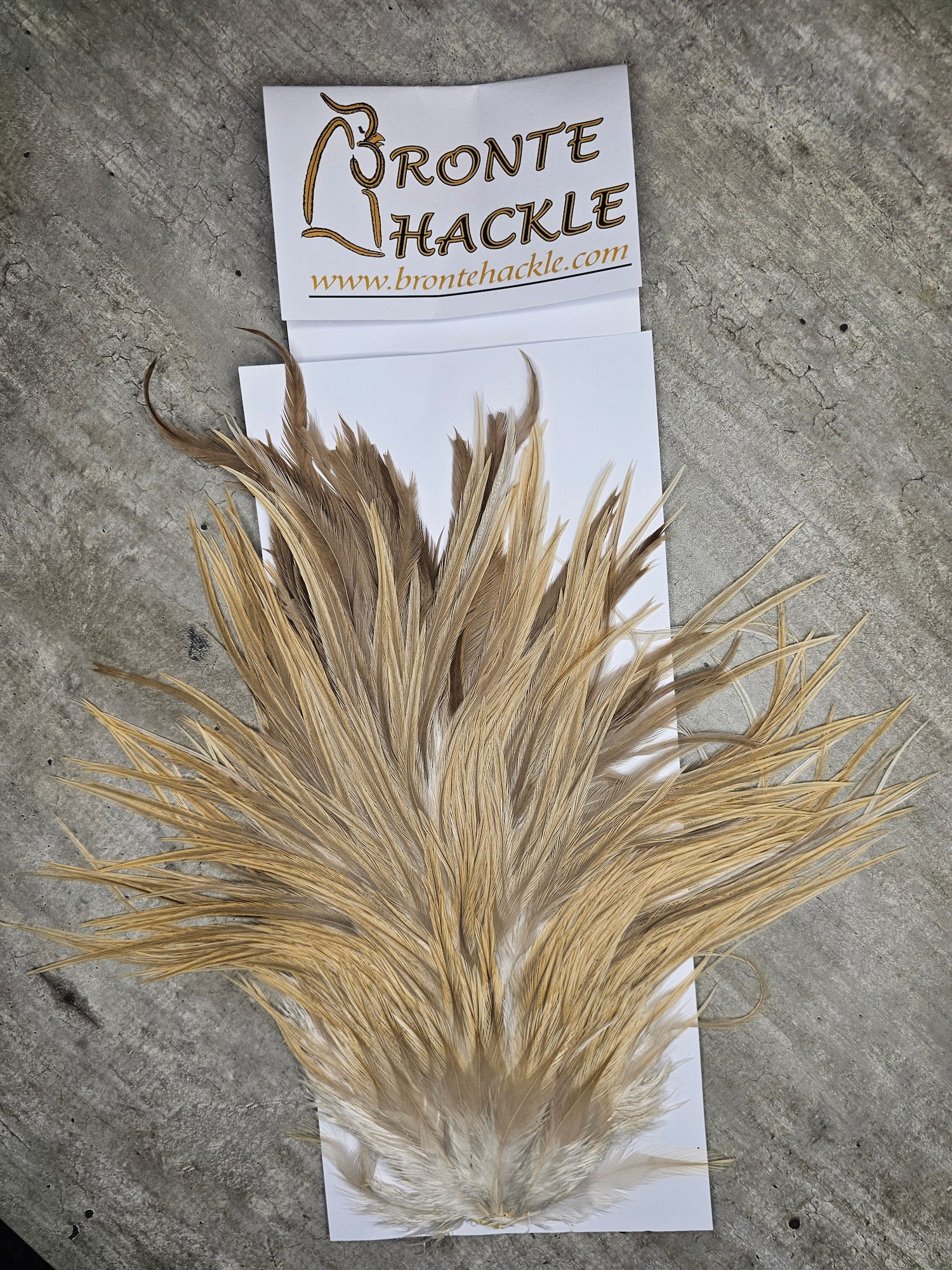 Bronte Hackle Cock Saddles  cs-2026-47